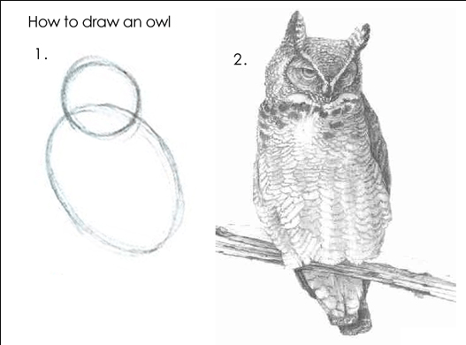 How to Draw an Owl